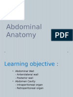 anatomi abdomen final.pptx