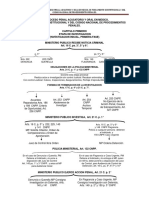 DIAGRAMA nuevo sistema penal acusatorio.pdf