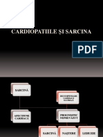 Cardiopatiile Și Anemia in Sarcina