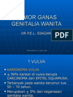 Tumor Ganas Genitalia Wanita