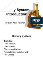 PGU1 Intruduction To Urinary System