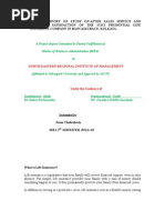 Download A Project Report on Study on After Sales Service and Customer Satisfaction of the Icici Prudential Life Insurance Company in Bancassurace by Soma Chakraborty SN35057908 doc pdf