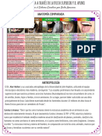 01 Anatomía Comparada