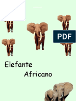 Elefantes