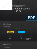 Cromatografia Gasosa GC Prep1 Copia