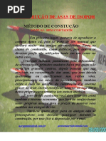 Construção de Asas Método Manual