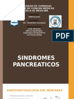 Sindromes Pancreaticos Completo