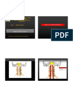 Musculos Del Cuello1