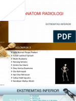 Anatomi Radiologi 2 Ext Inf 2015