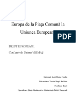 Europa de la Piaţa Comună la Uniunea Europeană.docx