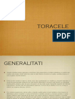 ToraceC PDF