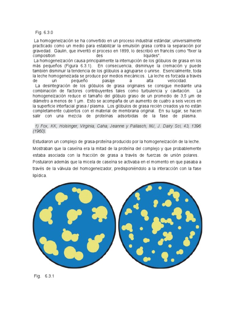 Homogeneización de la leche proceso, teorías y efectos PDF