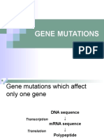 07 Gene Mutations