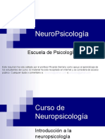 Clase Neuro I