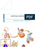 Sistemas Digestório, Respiratório e Cardiovascular