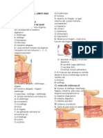 Sistema digestivo guía virtual