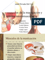 Neuromscular 161008181442