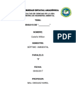 Ensayo de Tratamiento de Residuos Sólidos.pdf