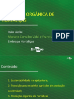 APRESENTAÇÃO ORGANICO