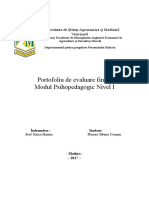 Portofoliu Modul Psihopedagogic