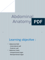 anatomi abdomen final.pptx