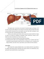 Mekanisme Kerja Hati Dan Empedu Dalam Proses Pencernaan