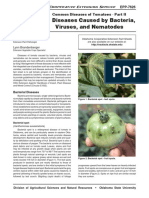 Diseases Caused by Bacteria, Viruses, and Nematodes: EPP-7626 Common Diseases of Tomatoes - Part II