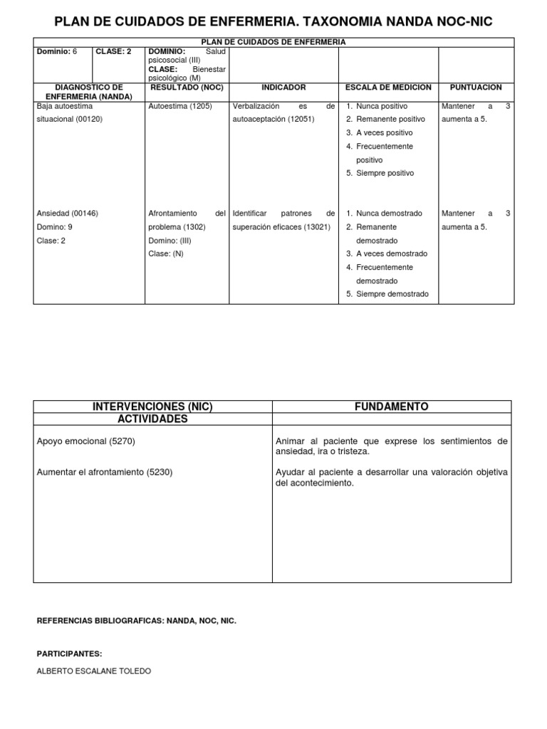 Plan de Cuidados de Enfermeria | PDF | Ansiedad | Enfermería