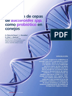 Utilización de Cepas de Bacteroides Spp. Como Probiótico en Conejos