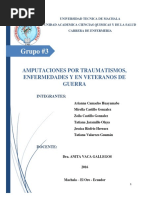 Amputaciones Por Traumatismos Enfermedades y en Veteranos de Guerra