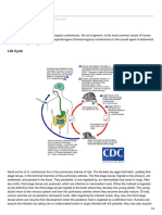 CDC - Gov Angiostrongyliasis