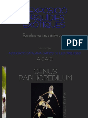 Orchidaceae-Book) Sabaté, P. A - Genus Paphiopedilum | PDF | Orchidaceae |  Jardinería