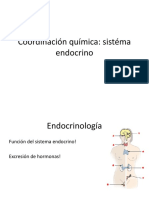 09 Coordinación Química-Sistema Endocrino