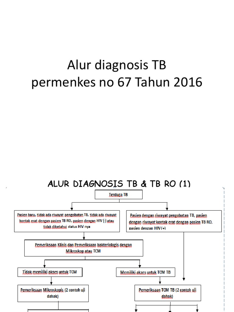 Alur Diagnosis TB