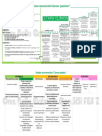 Cancer hn2 PDF
