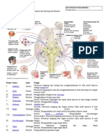 PBL SK 2 Neuro