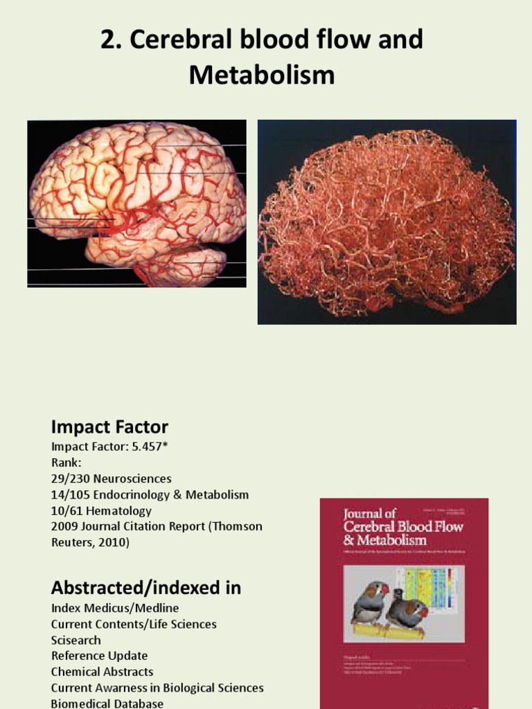 Cerebral Blood Flow and Metabolism Insights | PDF | Artery | Vein