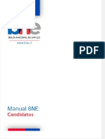 MANUAL BNE.pdf