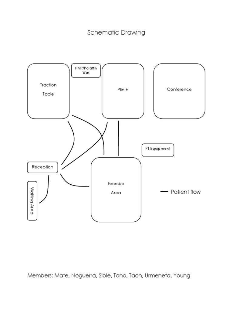 Patient Flow Schematic Diagram | PDF