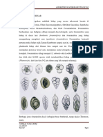 112313455-Foraminifera-Besar.docx