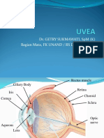 Uveitis Anterior, Intermedia dan Posterior