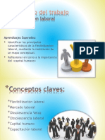 Flexibilidad Laboral