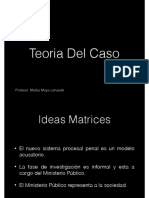 Teoria Del Caso