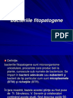 Bacteriile Fitopatogene