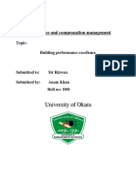 University of Okara: Performance and Compensation Management