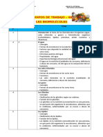 Equipos de Trabajo 4a Biomoleculas