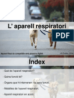 Aparell Respiratori