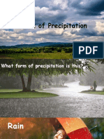 forms of precipitation