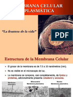 Clase 04 - Membrana Celular