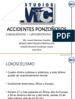 PPT-ACCIDENTESPONZONOSOS (1).pdf